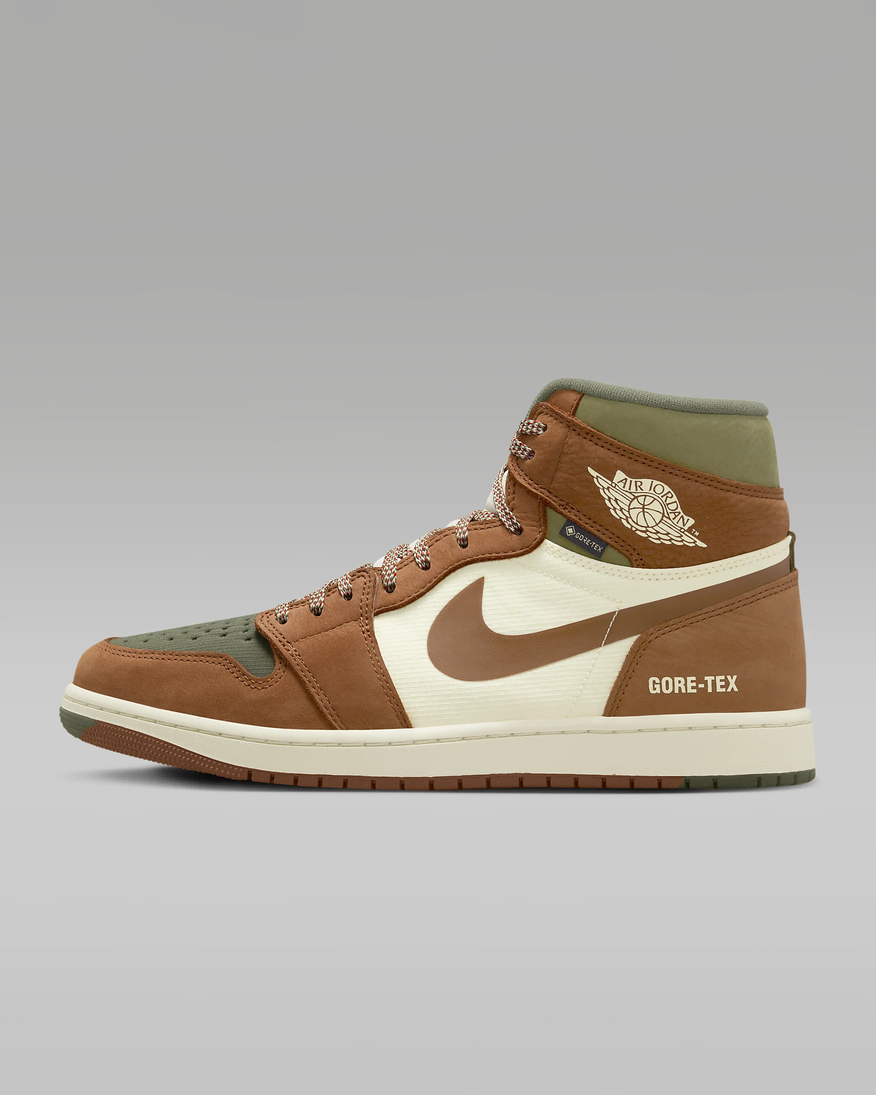 Air Jordan 1 Element #